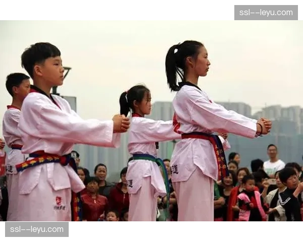 跆拳道主题音乐剧《道》在首尔首演,融合表演与实战 跆拳道主题音乐剧《道》在首尔首演,融合表演与实战